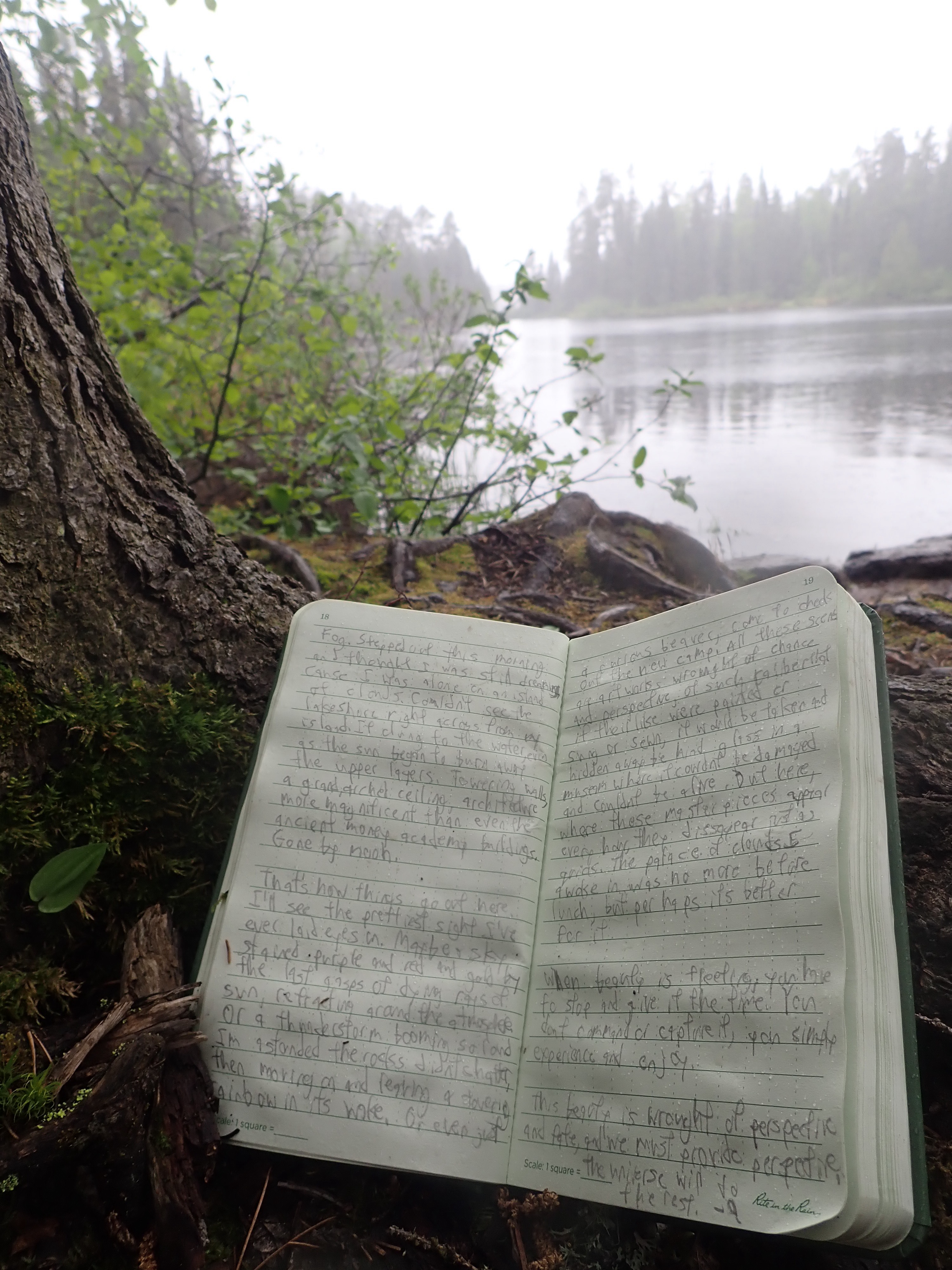 a picture of a notebook resting against a tree root, overlooking a lake and pine trees obscured by fog. written in the notebook are the above contents.