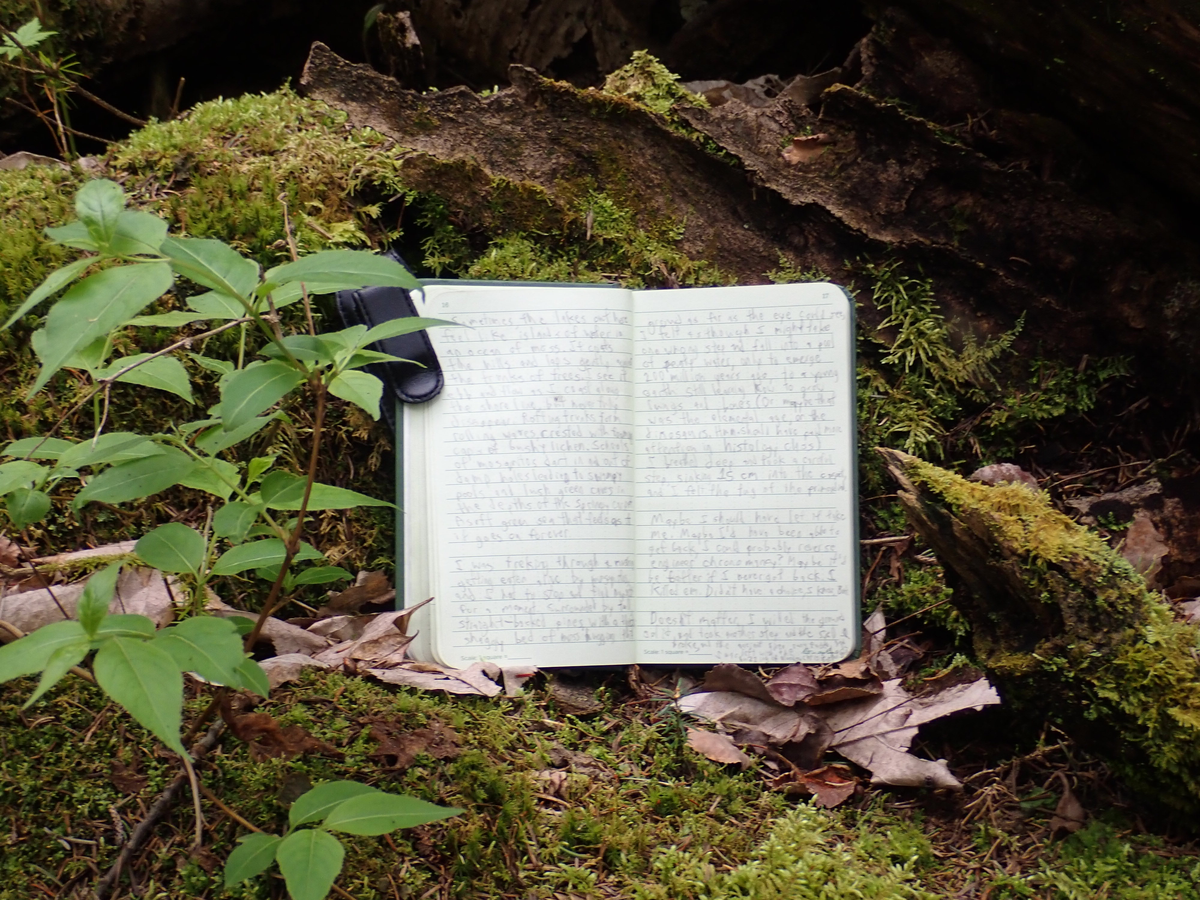 a picture of a notebook with a pocket knife case clipped to it resting on leaf litter and against moss covered log, behind a sapling. written in the notebook are the above contents.