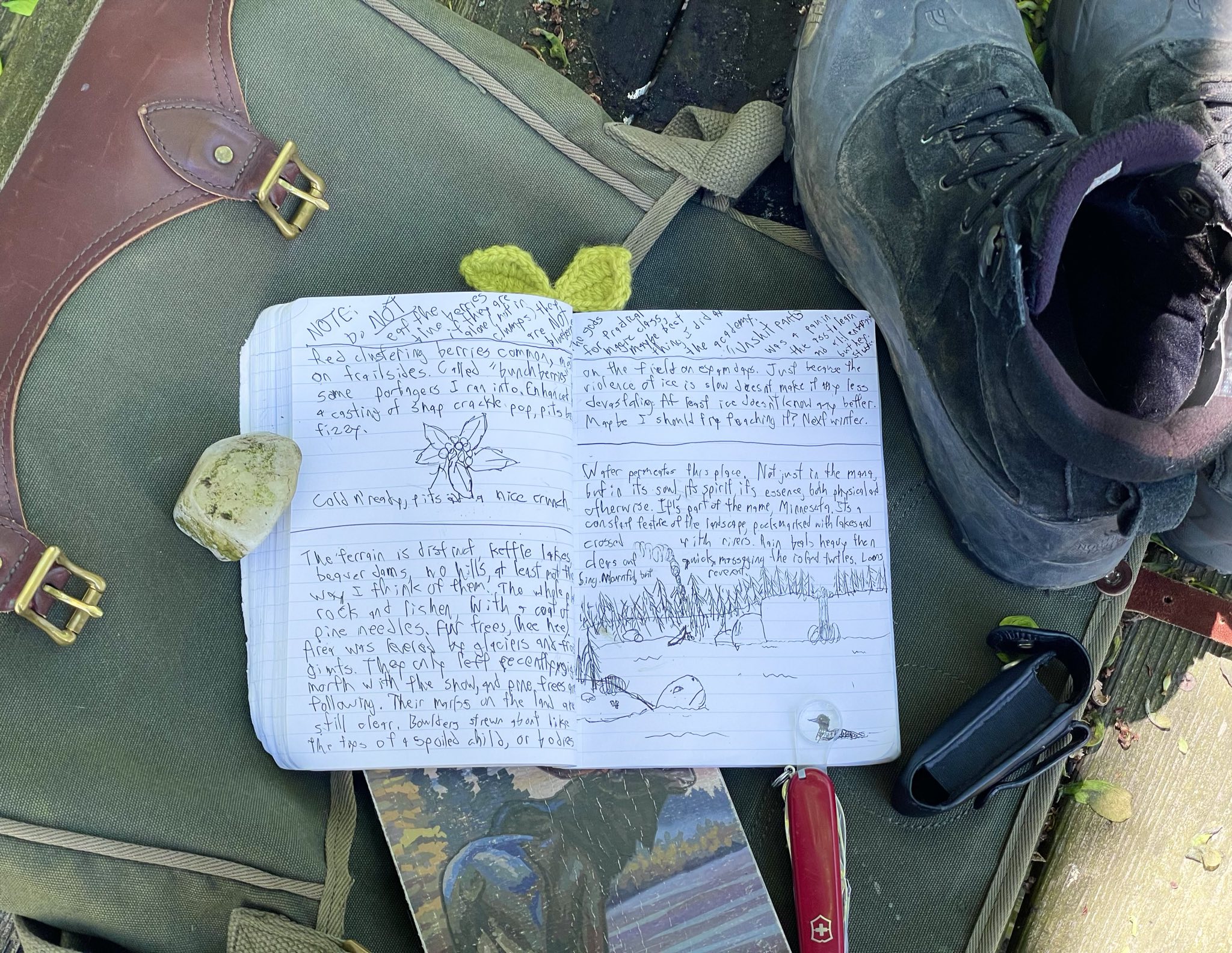A top-down photo of an open satchel on a mossy wooden table. In the top right are worn hiking boots. In the bottom left is a Swiss Army knife. There are two notebooks in the middle of the shot. One is held open by a piece of quartz, with writing on the inside, the other is underneath it, with a cover depicting a moose on a lakeside. The open book has a knitted sprout of leaves coming out the top. The text inside the notebook reads as follows.Top of both pages: NOTE: Do NOT eat the blueberries if they are alone (not in clumps) they are NOT blueberries. Thank the gods for practical magic class, maybe best thing I did at the academy. 'Unshit pants' was a pain in the ass to learn and a lil embarrassing but hey, it works. Left page: Red clustering berries common, mostly on the trailsides. Called 'bunchberries' by some portagers I ran into. Enhanced by a casting of snap crackle pop, pits become fizzy. [A sketch of a clump of circular berries with five leaves radiating outwards from them] Cold n' ready, pits add a nice crunch. [Horizontal line separating entries] The terrain is distinct. Kettle lakes, beaver dams, no hills, at least not the way I think of them. The whole place is rock and lichen, with a coat of pine needles. Fur trees, (hee hee). Area was leveled by glaciers and frost giants. They only left recently, migrating north with the snow, and pine trees following. Their marks on the land are still clear. Boulders strewn about like the toys of a spoiled child, or bodies. Right page: on the field on exam days. Just because the violence of ice is slow doesn't make it any less devastating. At least ice doesn't know any better. Maybe I should teach it? Next winter. [Horizontal line separating entries] Water permeates this place. Not just in the mana, but in its soul, its spirit, its essence, both physical and otherwise. It's part of the name, Minnesota. It's a constant feature of the landscape, pockmarked with lakes and crossed with rivers. Rain beats heavy then clears out quick, massaging the island turtles. Loons sing. Mournful, but reverent. [Sketch of a lakeside scene. In the left foreground, a small island adorned with trees and rocks reveals itself as a turtle as it pokes up its head. On the right foreground, a common loon floats on the water. In the background, a shoreline is seen entirely covered in pine trees. On the left is a pulled up canoe and two oars, with a column of smoke rising from the forest behind them. On the right is a cliff face, with a waterfall spilling over the edge.].