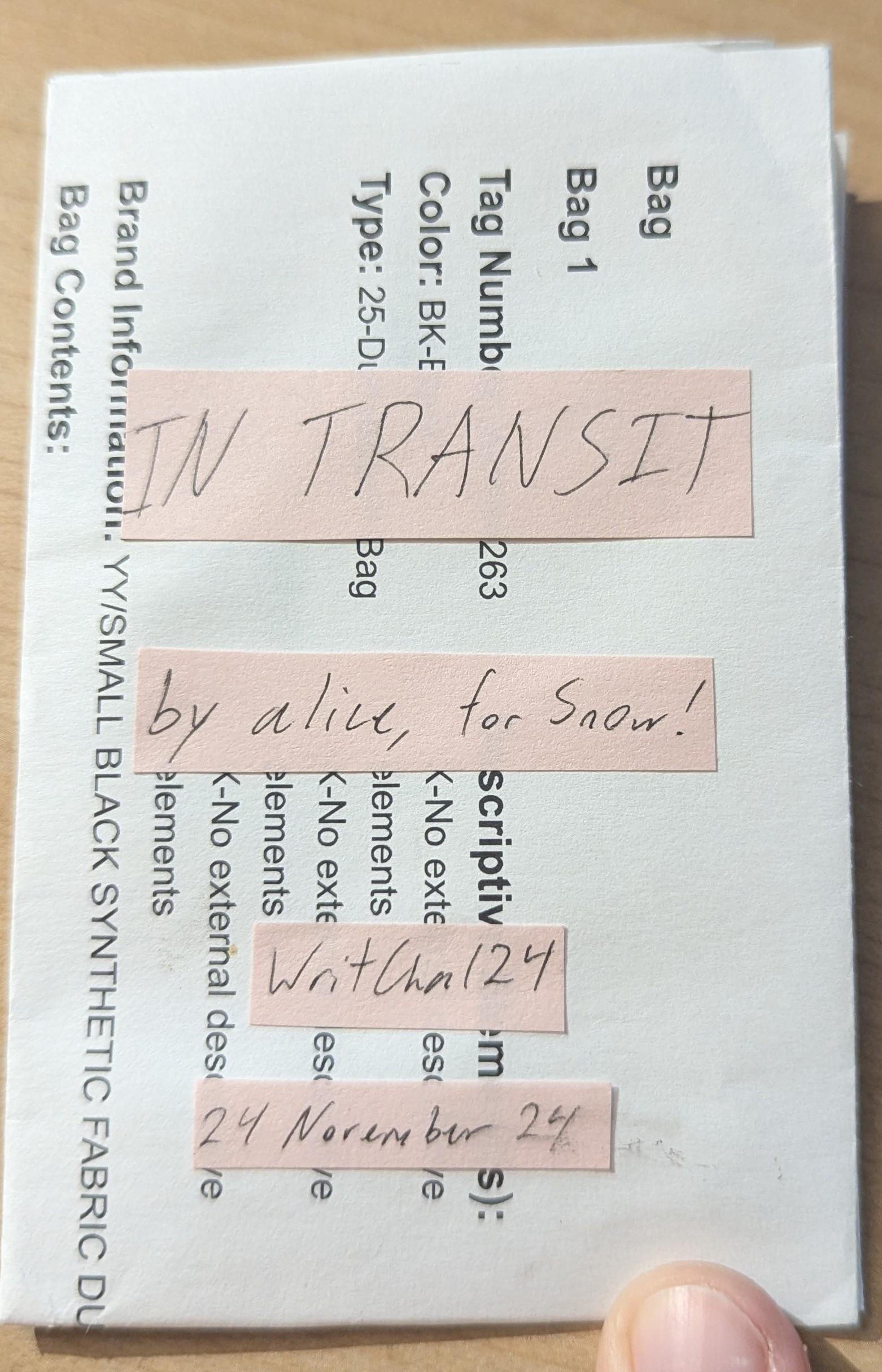 In Transit / by alice, for Snow! / WritChal24 / 24 November 24